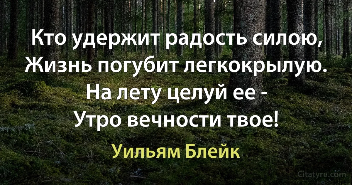 Кто удержит радость силою,
Жизнь погубит легкокрылую.
На лету целуй ее -
Утро вечности твое! (Уильям Блейк)