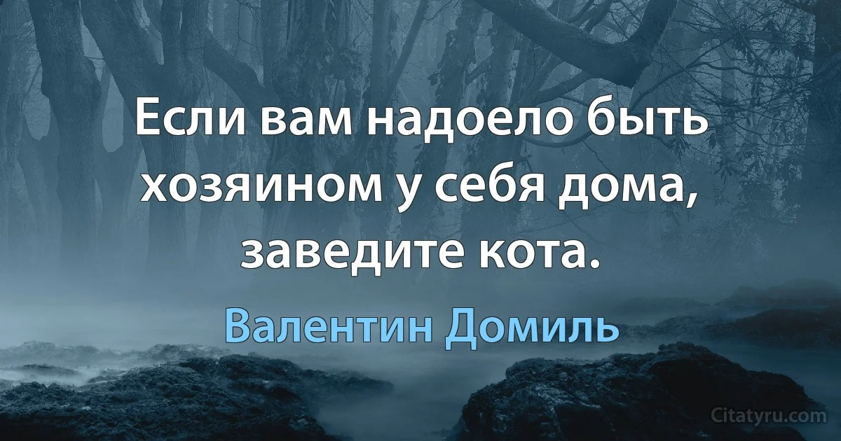 Если вам надоело быть хозяином у себя дома, заведите кота. (Валентин Домиль)