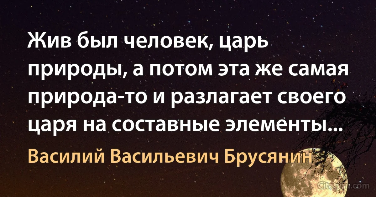 Жив был человек, царь природы, а потом эта же самая природа-то и разлагает своего царя на составные элементы... (Василий Васильевич Брусянин)