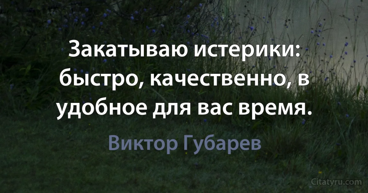 Закатываю истерики: быстро, качественно, в удобное для вас время. (Виктор Губарев)