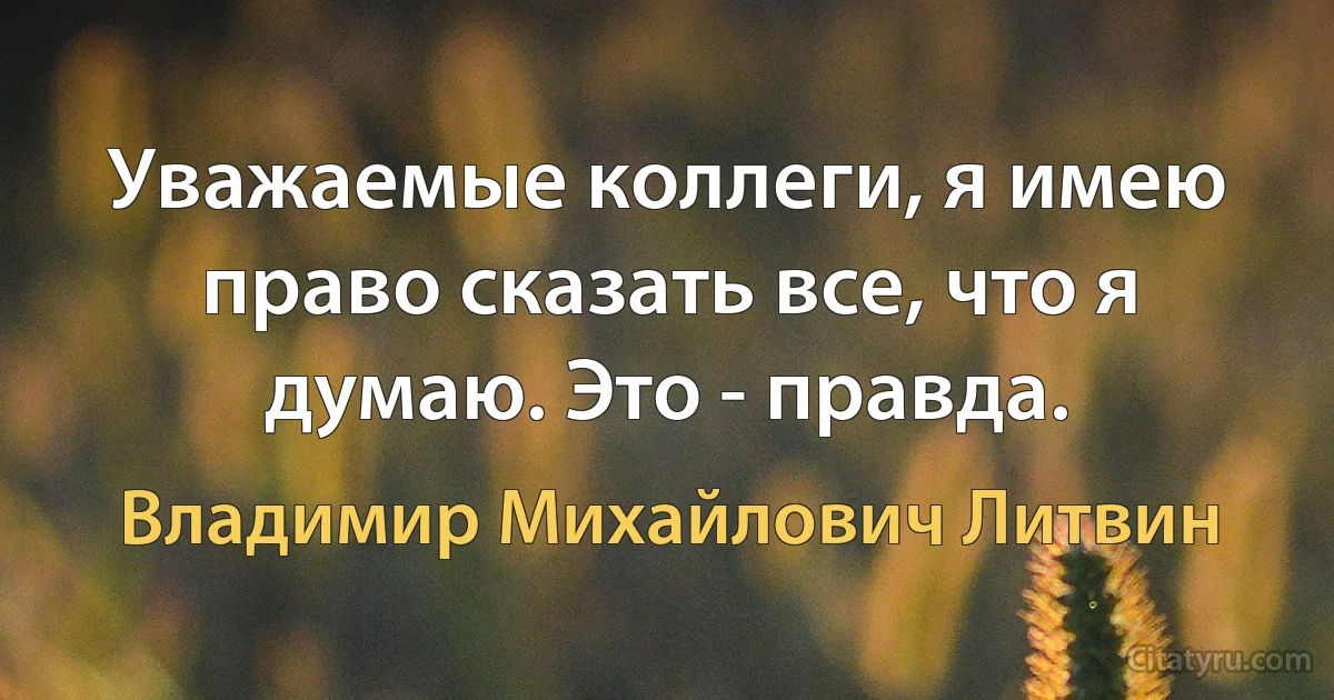 Уважаемые коллеги, я имею право сказать все, что я думаю. Это - правда. (Владимир Михайлович Литвин)