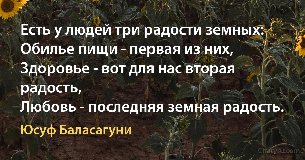 Есть у людей три радости земных:
Обилье пищи - первая из них,
Здоровье - вот для нас вторая радость,
Любовь - последняя земная радость. (Юсуф Баласагуни)