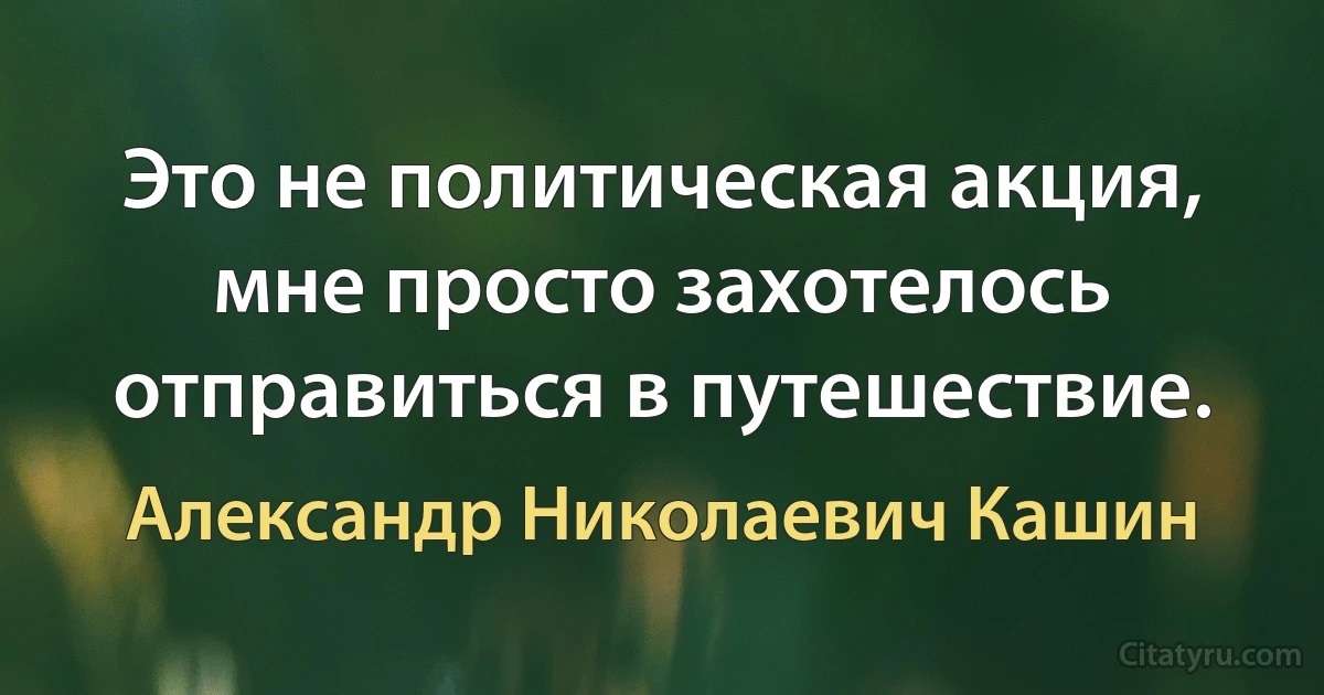 Это не политическая акция, мне просто захотелось отправиться в путешествие. (Александр Николаевич Кашин)