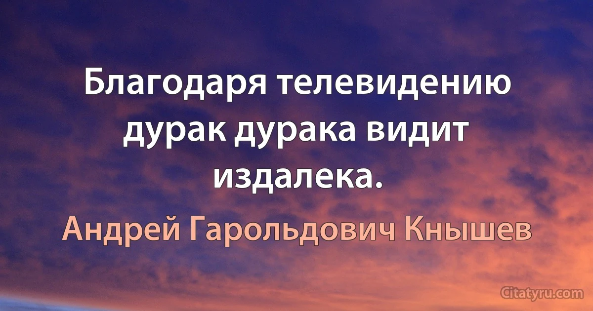 Благодаря телевидению дурак дурака видит издалека. (Андрей Гарольдович Кнышев)