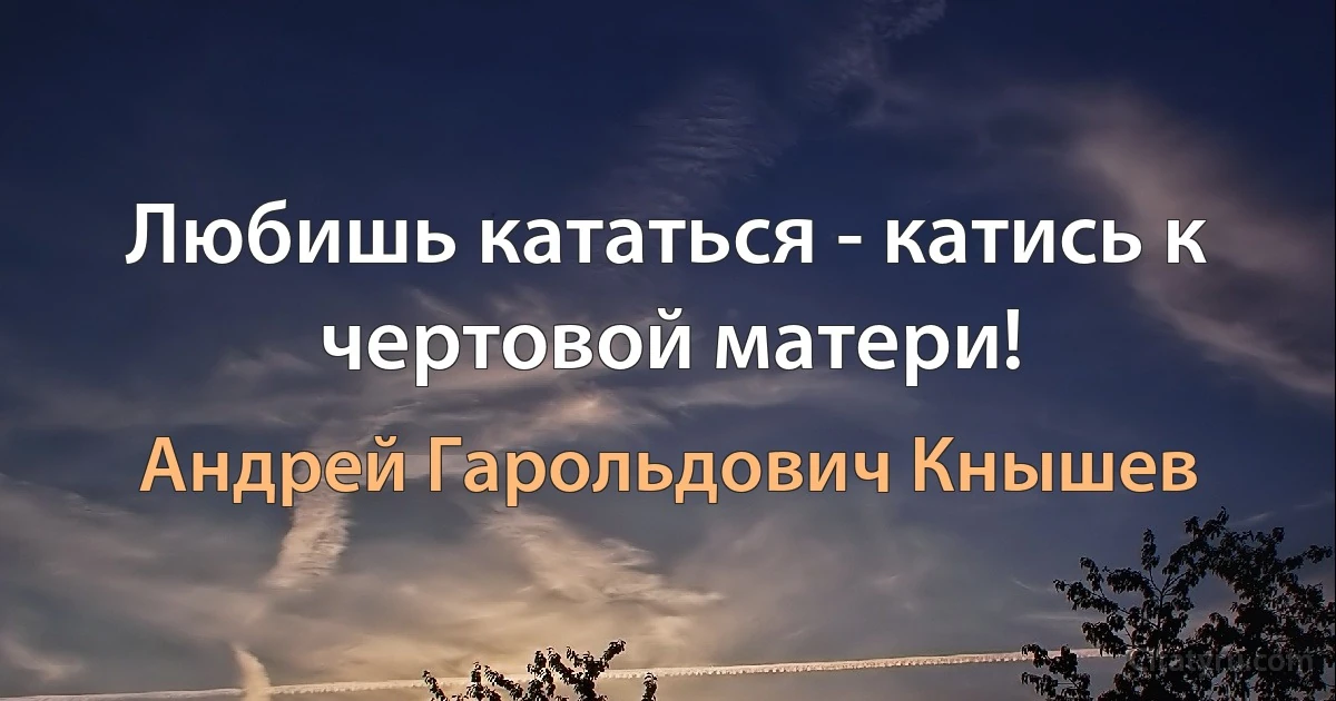 Любишь кататься - катись к чертовой матери! (Андрей Гарольдович Кнышев)