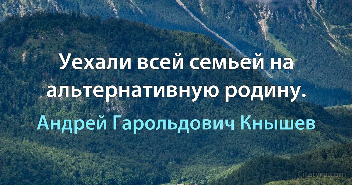 Уехали всей семьей на альтернативную родину. (Андрей Гарольдович Кнышев)