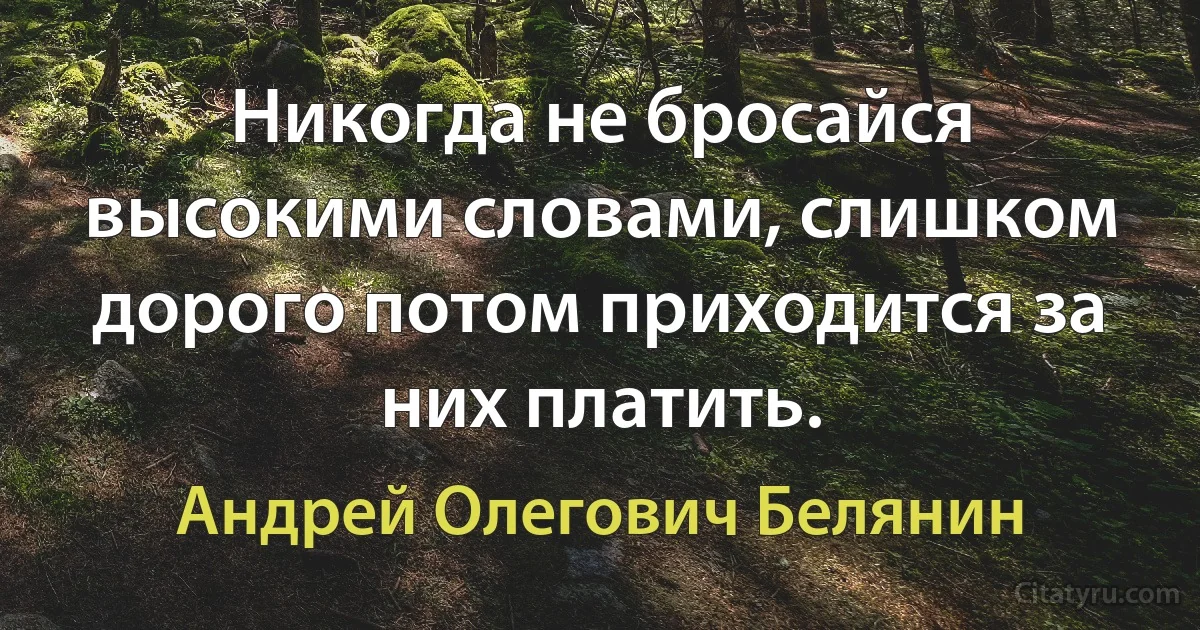 Никогда не бросайся высокими словами, слишком дорого потом приходится за них платить. (Андрей Олегович Белянин)