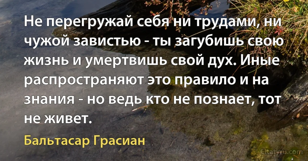 Не перегружай себя ни трудами, ни чужой завистью - ты загубишь свою жизнь и умертвишь свой дух. Иные распространяют это правило и на знания - но ведь кто не познает, тот не живет. (Бальтасар Грасиан)