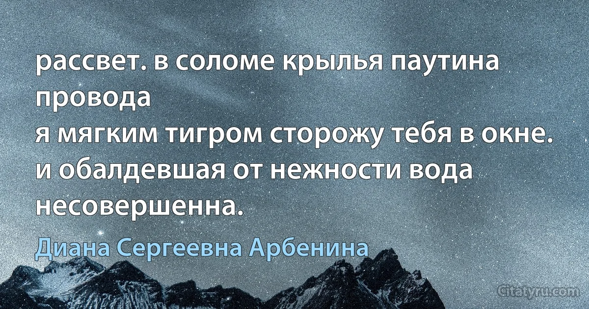 рассвет. в соломе крылья паутина провода
я мягким тигром сторожу тебя в окне.
и обалдевшая от нежности вода
несовершенна. (Диана Сергеевна Арбенина)