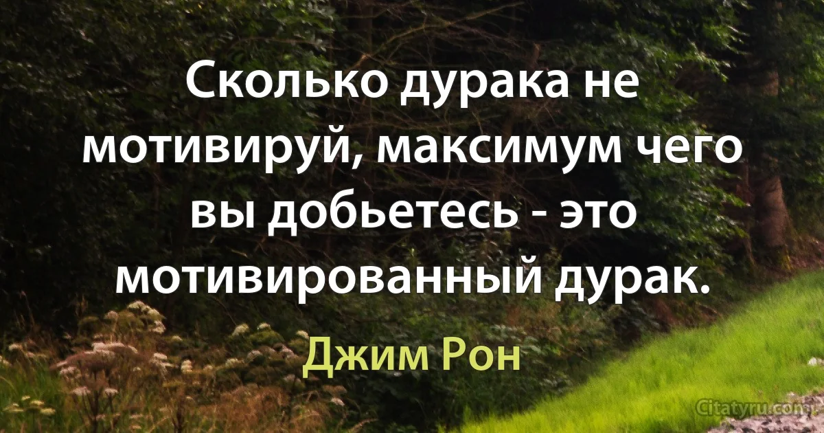 Сколько дурака не мотивируй, максимум чего вы добьетесь - это мотивированный дурак. (Джим Рон)