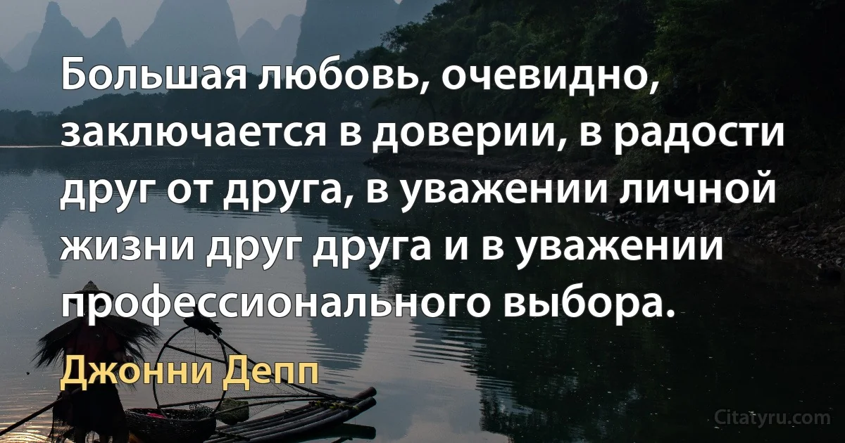 Большая любовь, очевидно, заключается в доверии, в радости друг от друга, в уважении личной жизни друг друга и в уважении профессионального выбора. (Джонни Депп)