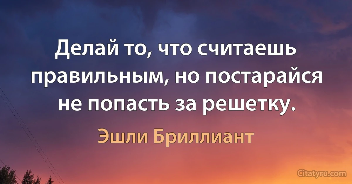 Делай то, что считаешь правильным, но постарайся не попасть за решетку. (Эшли Бриллиант)