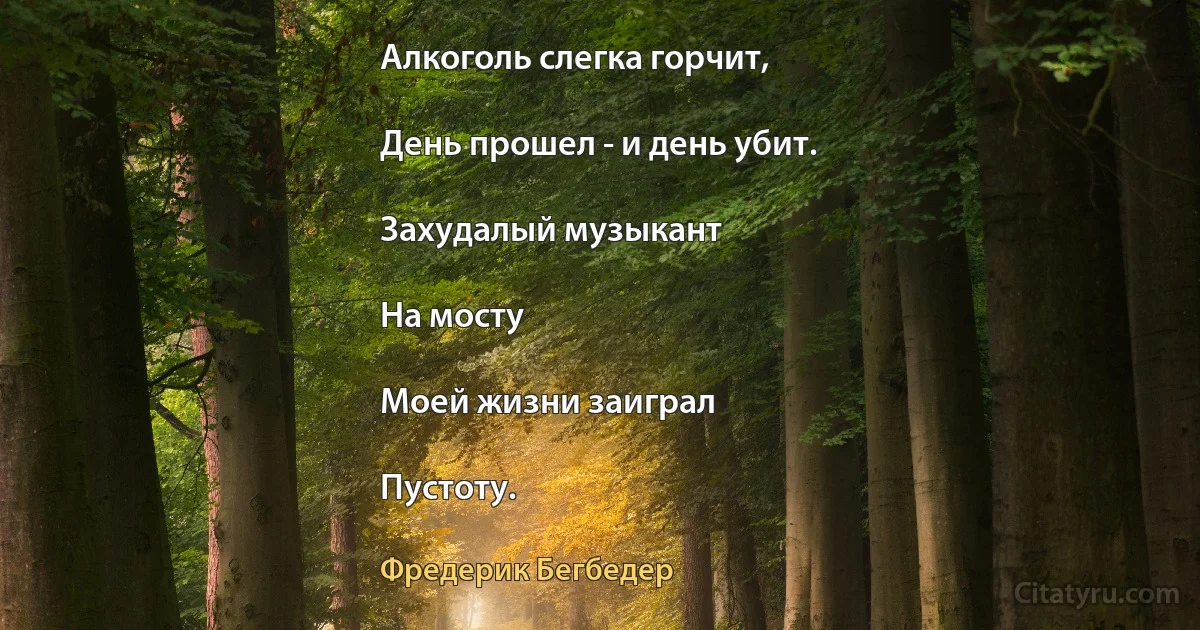 Алкоголь слегка горчит,

День прошел - и день убит.

Захудалый музыкант

На мосту

Моей жизни заиграл

Пустоту. (Фредерик Бегбедер)