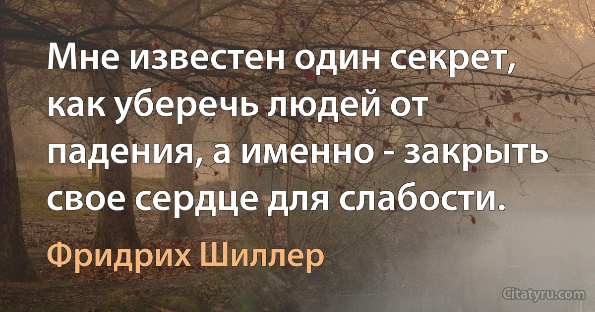 Мне известен один секрет, как уберечь людей от падения, а именно - закрыть свое сердце для слабости. (Фридрих Шиллер)