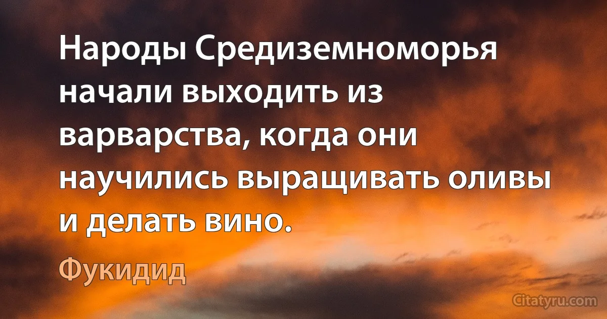 Народы Средиземноморья начали выходить из варварства, когда они научились выращивать оливы и делать вино. (Фукидид)