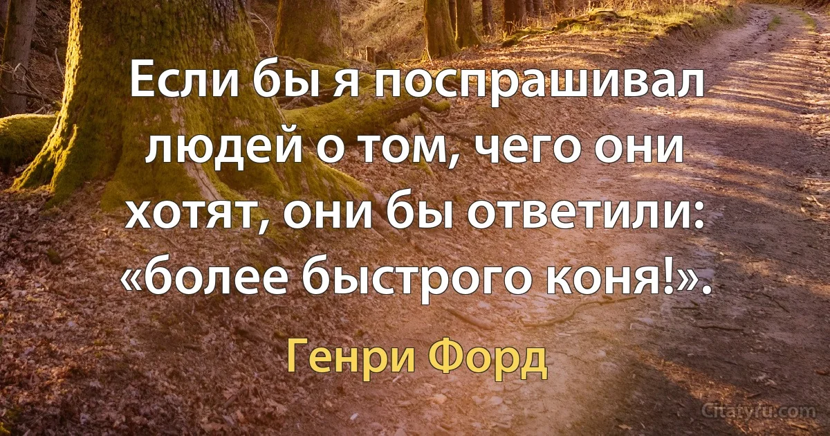 Если бы я поспрашивал людей о том, чего они хотят, они бы ответили: «более быстрого коня!». (Генри Форд)