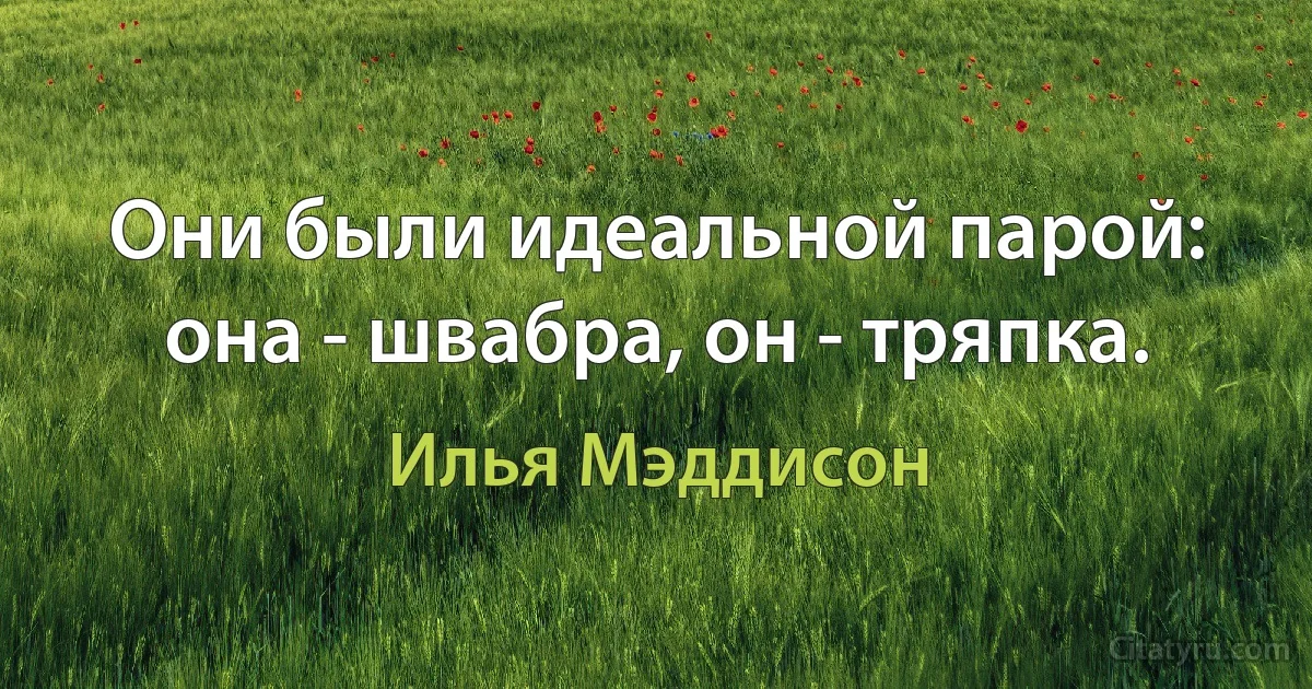 Они были идеальной парой: она - швабра, он - тряпка. (Илья Мэддисон)