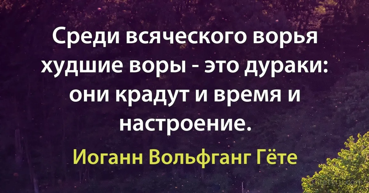 Среди всяческого ворья худшие воры - это дураки: они крадут и время и настроение. (Иоганн Вольфганг Гёте)