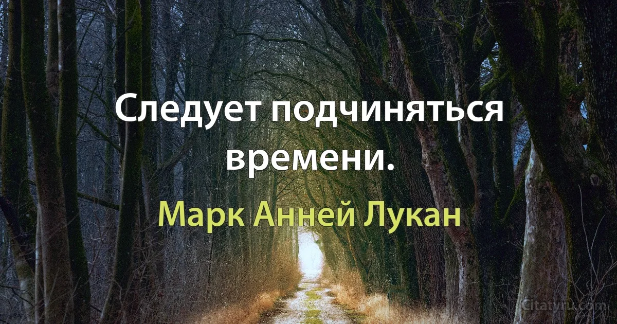 Следует подчиняться времени. (Марк Анней Лукан)