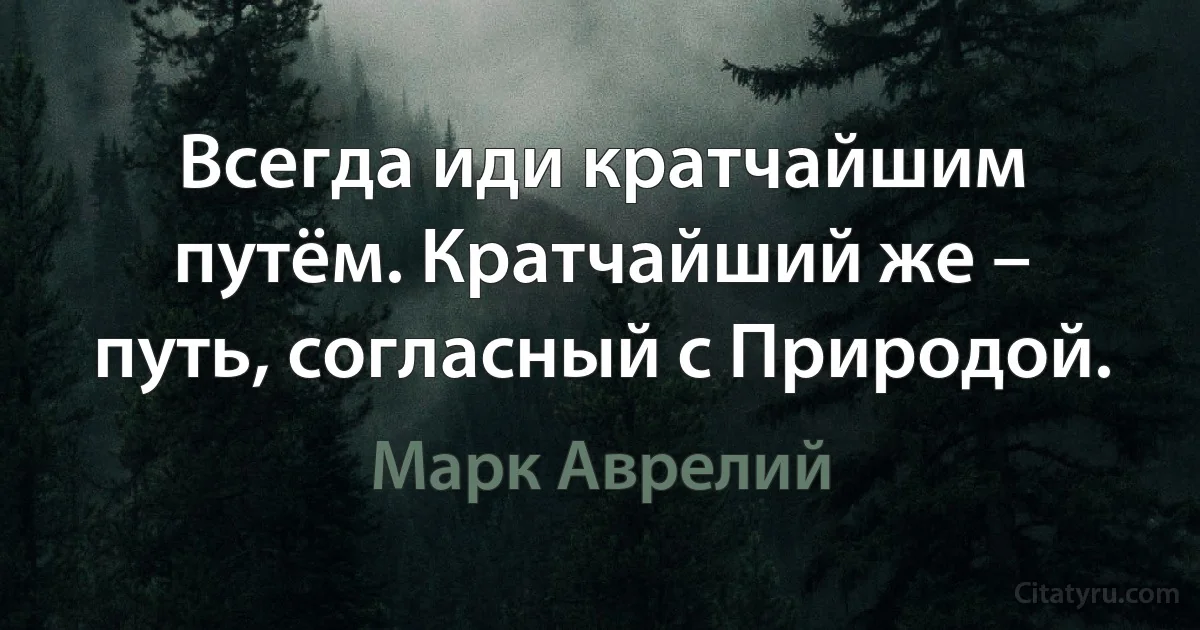 Всегда иди кратчайшим путём. Кратчайший же – путь, согласный с Природой. (Марк Аврелий)