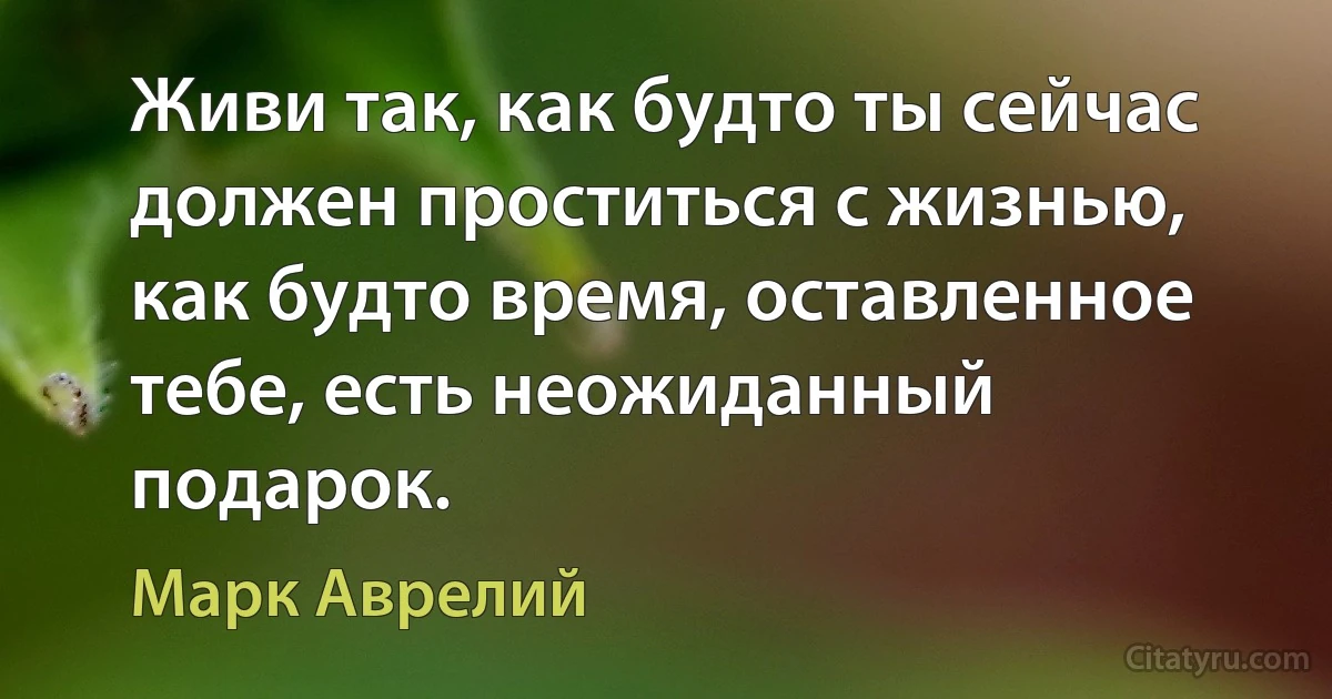 Живи так, как будто ты сейчас должен проститься с жизнью, как будто время, оставленное тебе, есть неожиданный подарок. (Марк Аврелий)