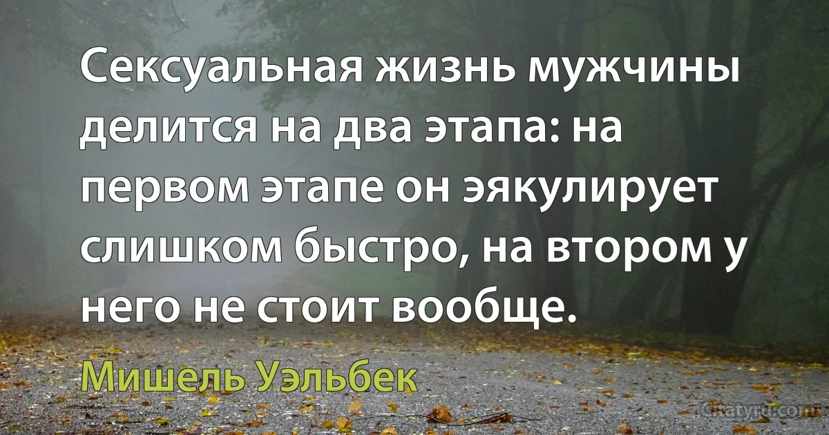 Сексуальная жизнь мужчины делится на два этапа: на первом этапе он эякулирует слишком быстро, на втором у него не стоит вообще. (Мишель Уэльбек)