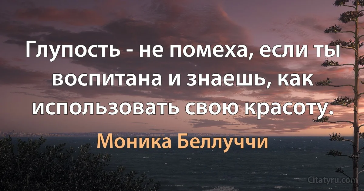 Глупость - не помеха, если ты воспитана и знаешь, как использовать свою красоту. (Моника Беллуччи)