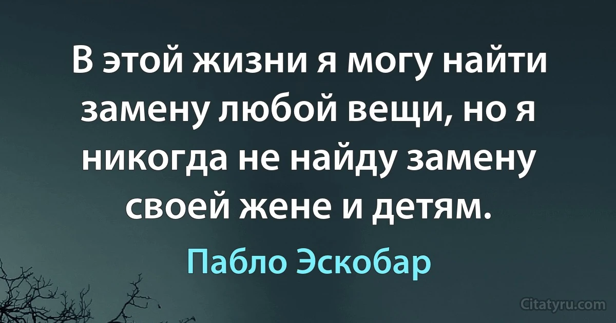 В этой жизни я могу найти замену любой вещи, но я никогда не найду замену своей жене и детям. (Пабло Эскобар)