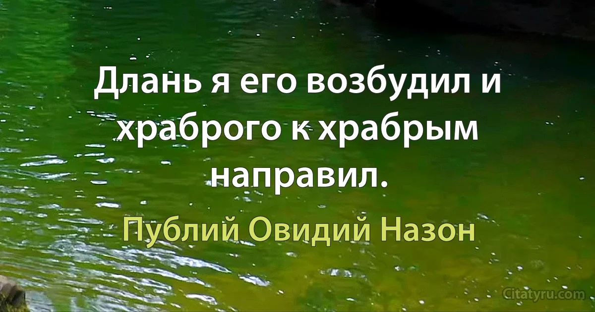 Длань я его возбудил и храброго к храбрым направил. (Публий Овидий Назон)