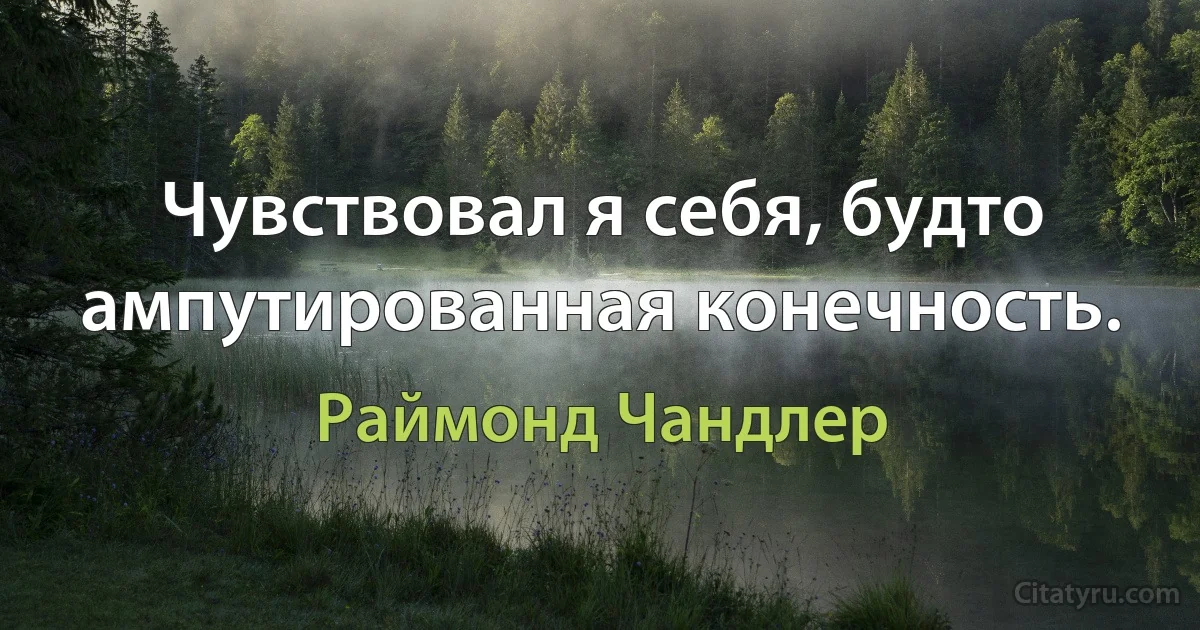 Чувствовал я себя, будто ампутированная конечность. (Раймонд Чандлер)