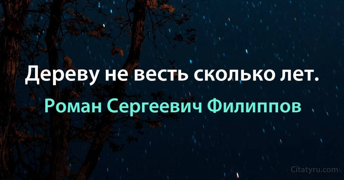 Дереву не весть сколько лет. (Роман Сергеевич Филиппов)