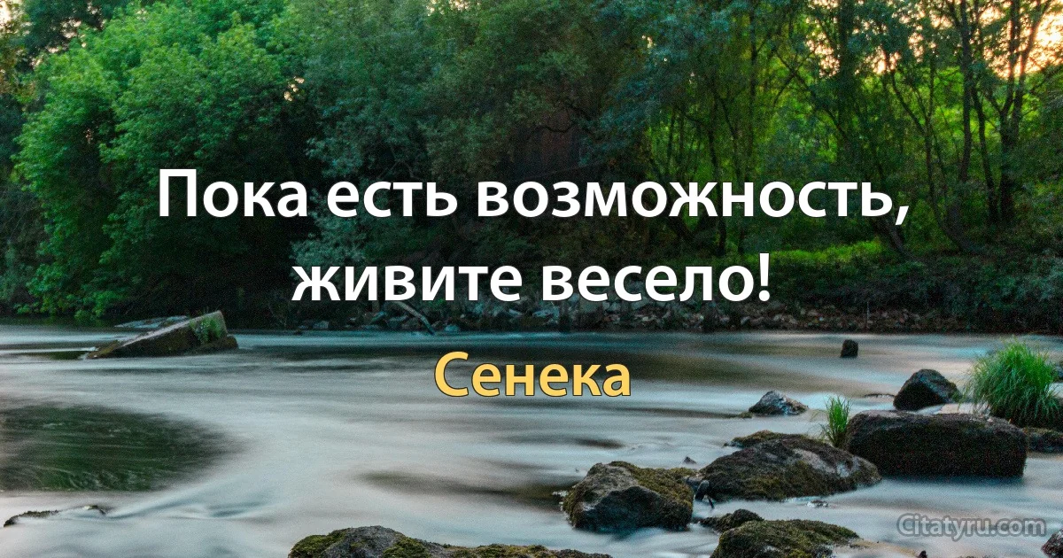 Пока есть возможность, живите весело! (Сенека)