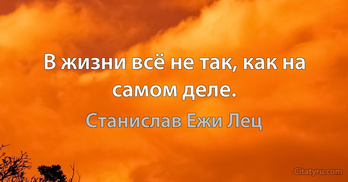 В жизни всё не так, как на самом деле. (Станислав Ежи Лец)