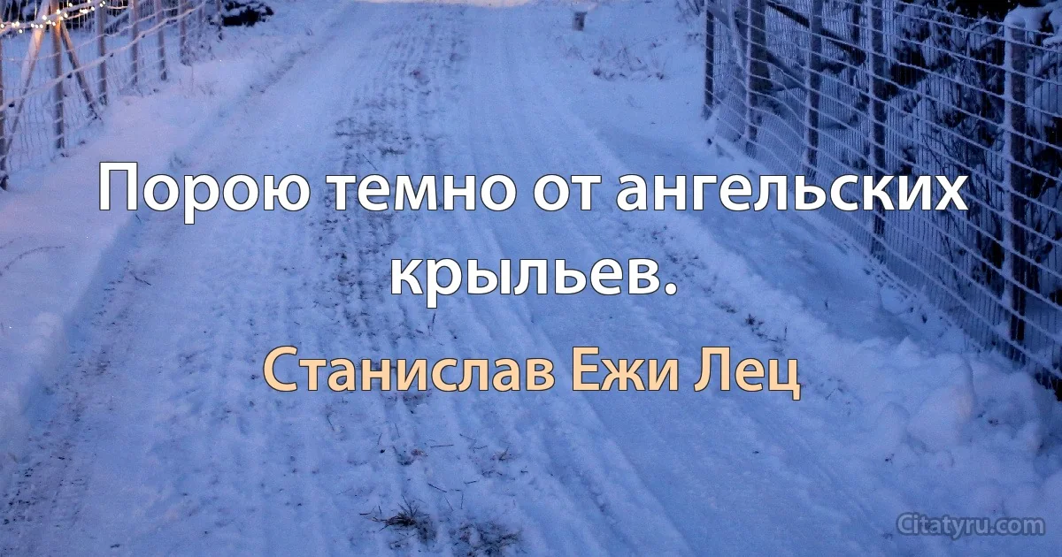 Порою темно от ангельских крыльев. (Станислав Ежи Лец)