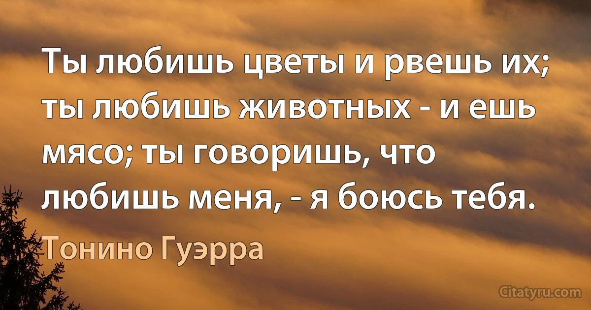 Ты любишь цветы и рвешь их; ты любишь животных - и ешь мясо; ты говоришь, что любишь меня, - я боюсь тебя. (Тонино Гуэрра)