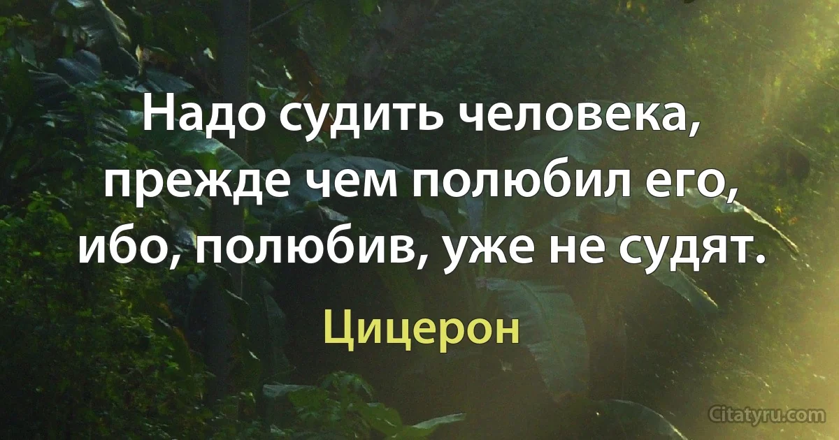 Надо судить человека, прежде чем полюбил его, ибо, полюбив, уже не судят. (Цицерон)