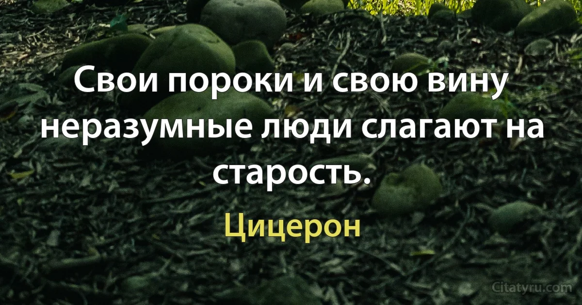 Свои пороки и свою вину неразумные люди слагают на старость. (Цицерон)