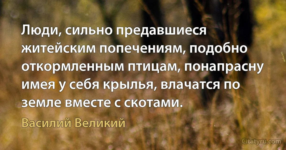 Люди, сильно предавшиеся житейским попечениям, подобно откормленным птицам, понапрасну имея у себя крылья, влачатся по земле вместе с скотами. (Василий Великий)