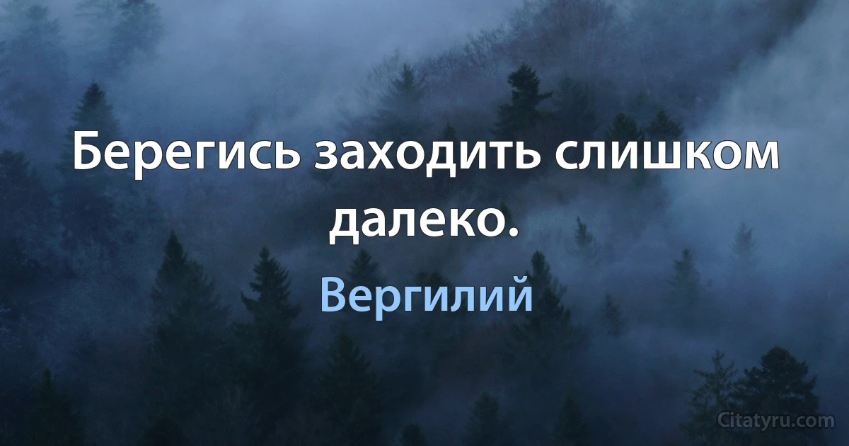 Берегись заходить слишком далеко. (Вергилий)