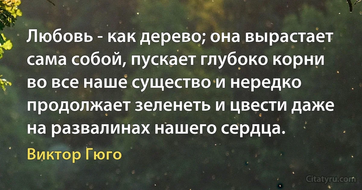 Любовь - как дерево; она вырастает сама собой, пускает глубоко корни во все наше существо и нередко продолжает зеленеть и цвести даже на развалинах нашего сердца. (Виктор Гюго)