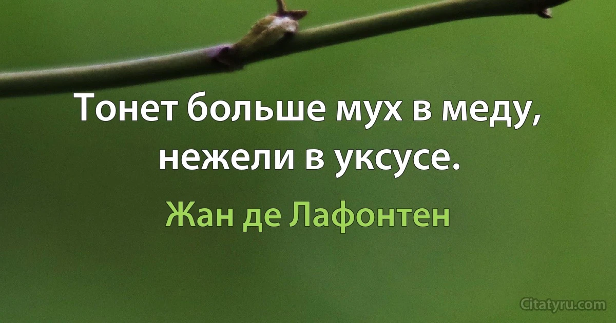 Тонет больше мух в меду, нежели в уксусе. (Жан де Лафонтен)