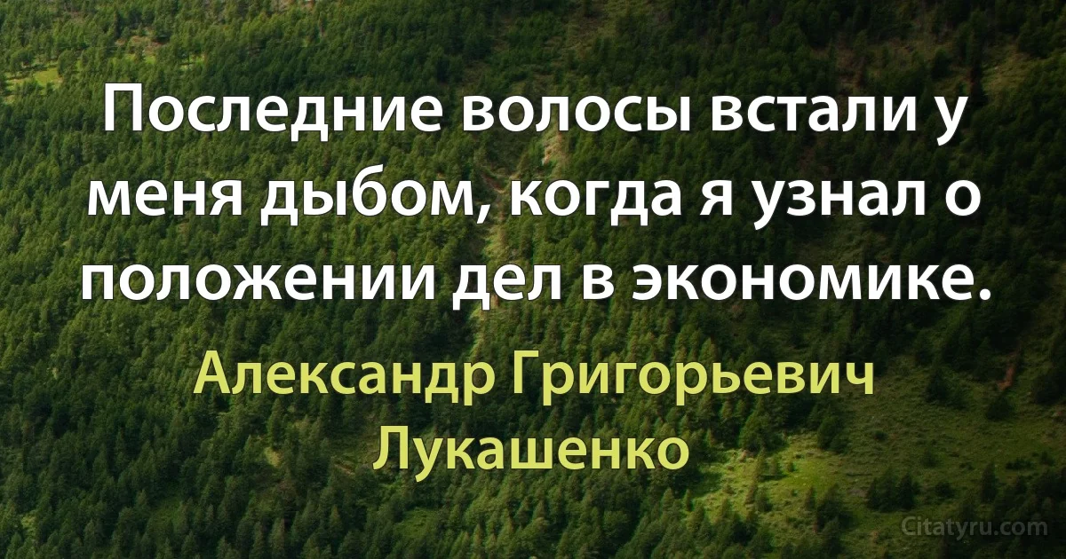 Последние волосы встали у меня дыбом, когда я узнал о положении дел в экономике. (Александр Григорьевич Лукашенко)