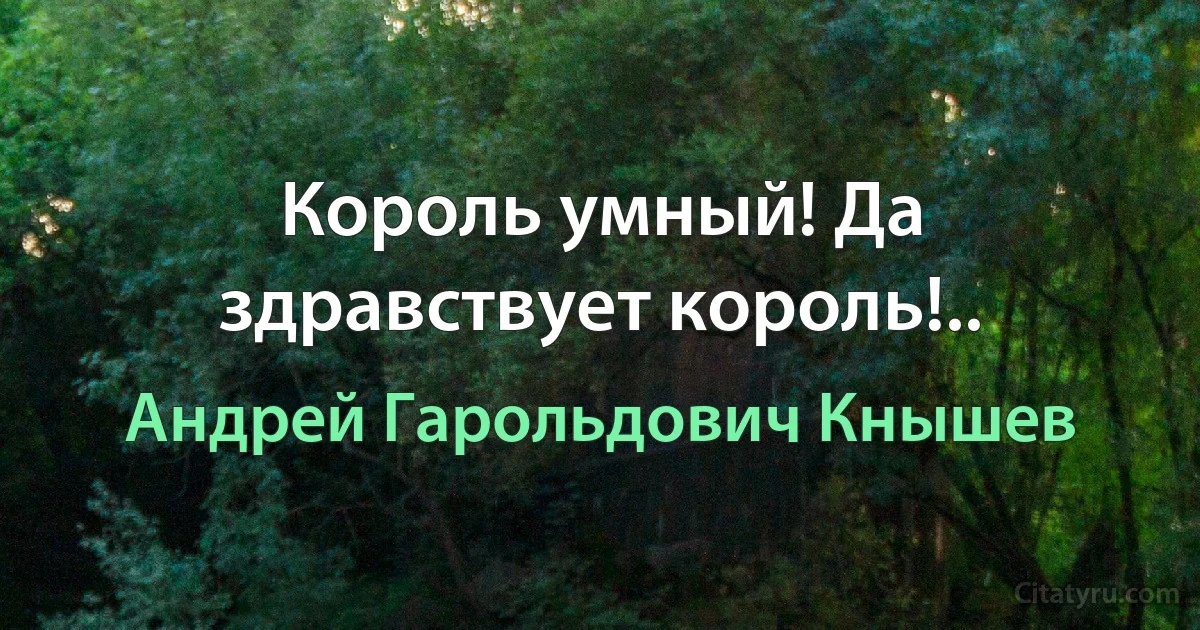 Король умный! Да здравствует король!.. (Андрей Гарольдович Кнышев)