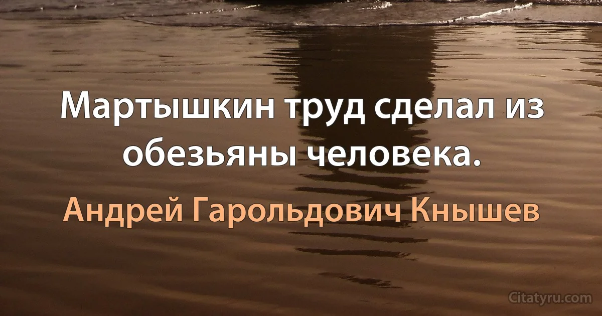 Мартышкин труд сделал из обезьяны человека. (Андрей Гарольдович Кнышев)