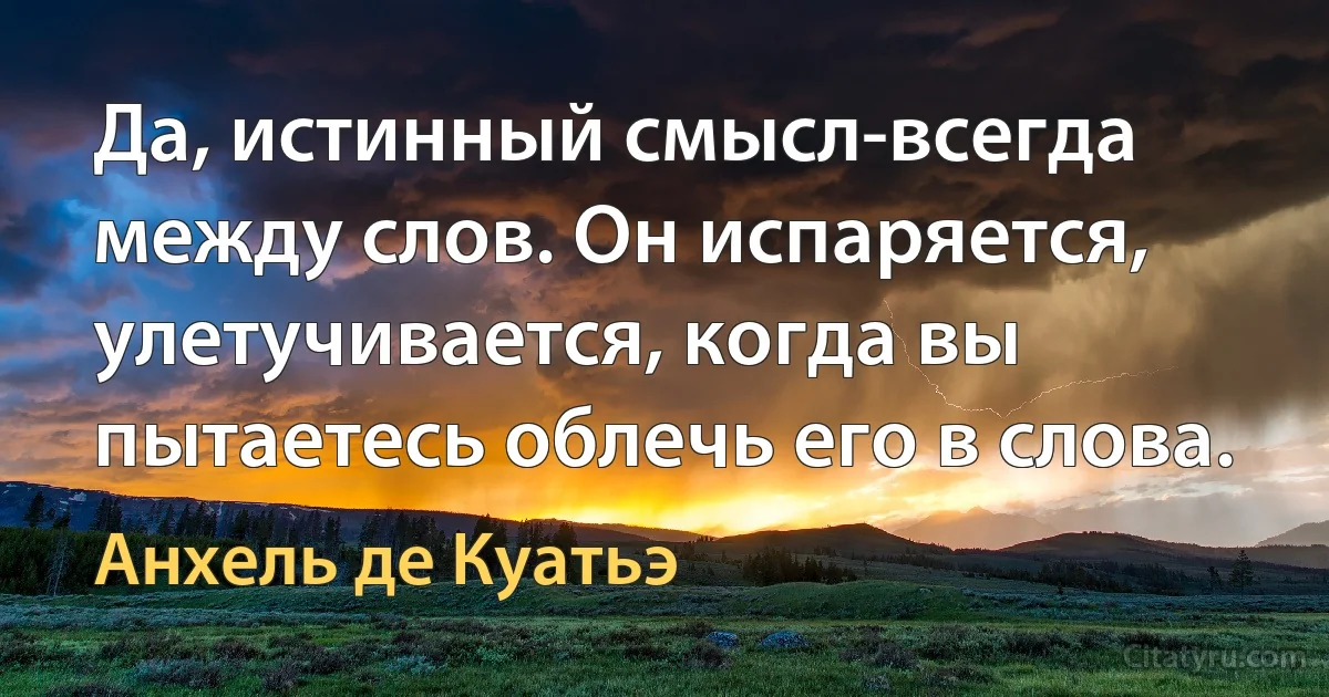 Да, истинный смысл-всегда между слов. Он испаряется, улетучивается, когда вы пытаетесь облечь его в слова. (Анхель де Куатьэ)