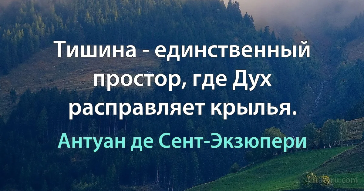 Тишина - единственный простор, где Дух расправляет крылья. (Антуан де Сент-Экзюпери)