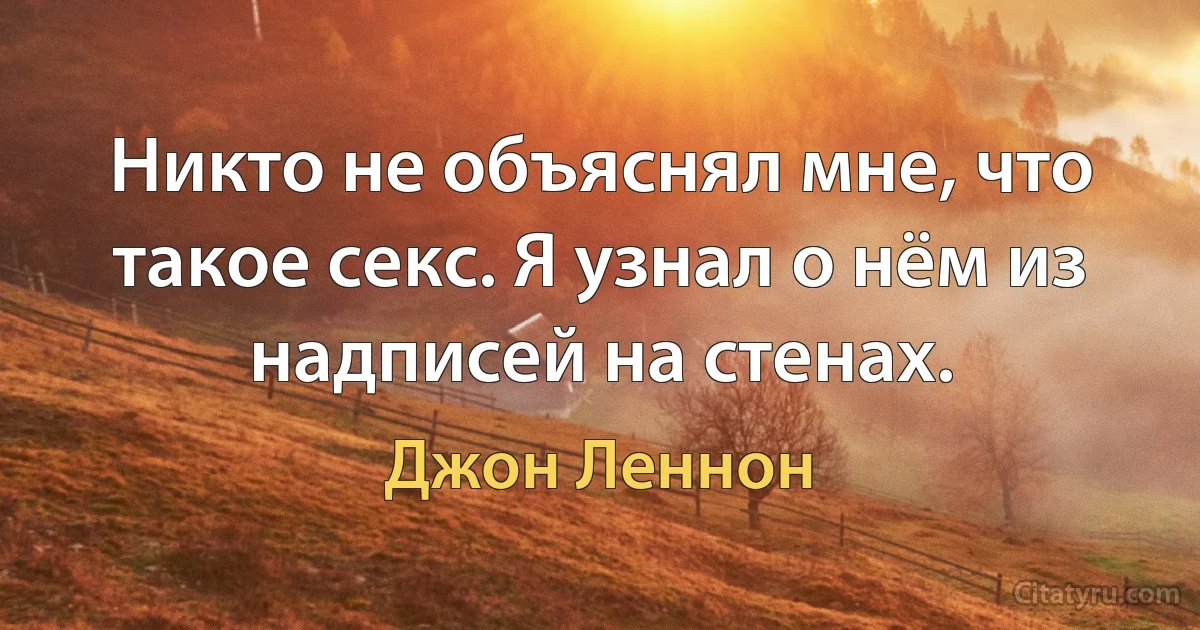 Никто не объяснял мне, что такое секс. Я узнал о нём из надписей на стенах. (Джон Леннон)