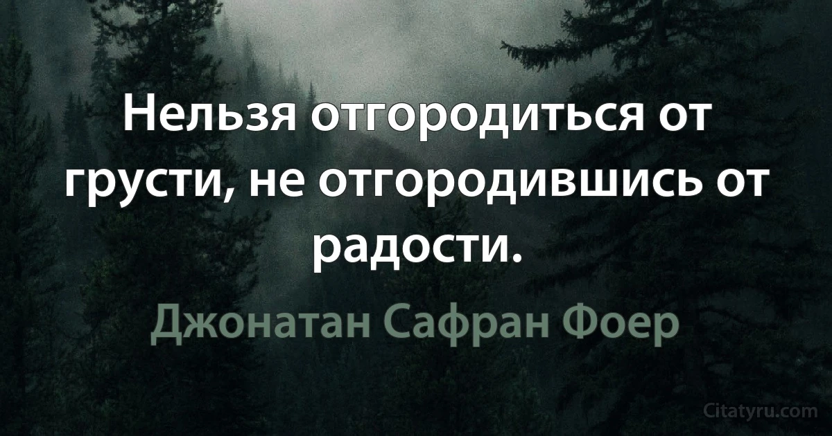 Нельзя отгородиться от грусти, не отгородившись от радости. (Джонатан Сафран Фоер)