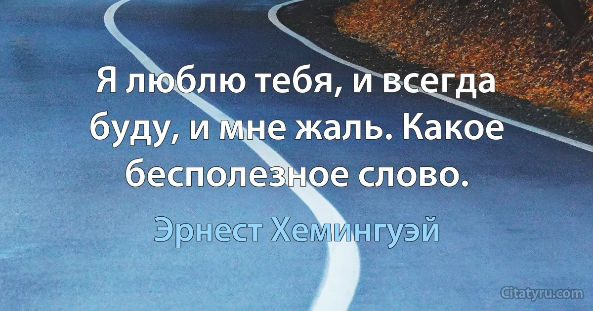 Я люблю тебя, и всегда буду, и мне жаль. Какое бесполезное слово. (Эрнест Хемингуэй)