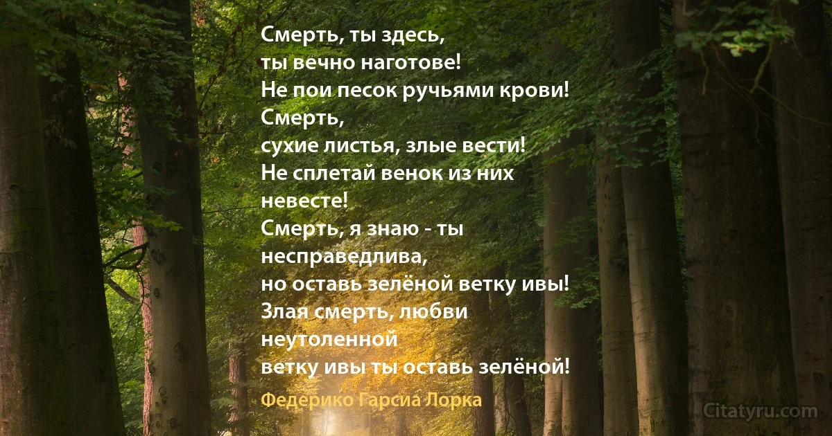 Смерть, ты здесь,
ты вечно наготове!
Не пои песок ручьями крови!
Смерть,
сухие листья, злые вести!
Не сплетай венок из них
невесте!
Смерть, я знаю - ты
несправедлива,
но оставь зелёной ветку ивы!
Злая смерть, любви
неутоленной
ветку ивы ты оставь зелёной! (Федерико Гарсиа Лорка)